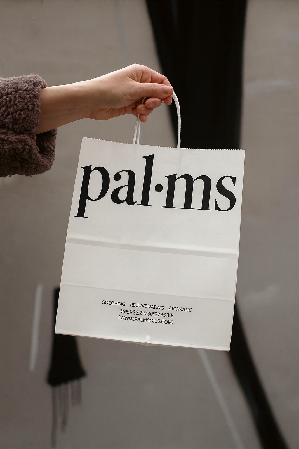Custom Kraft Gift Packaging Paper Bags