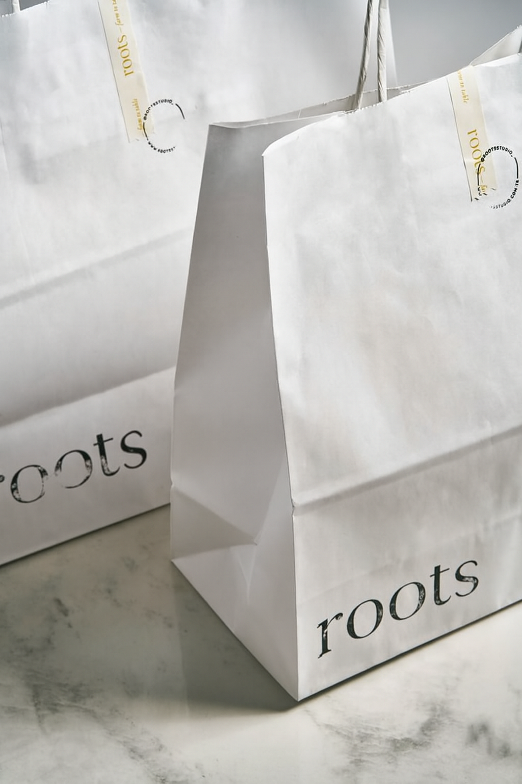 Custom Kraft Gift Packaging Paper Bags