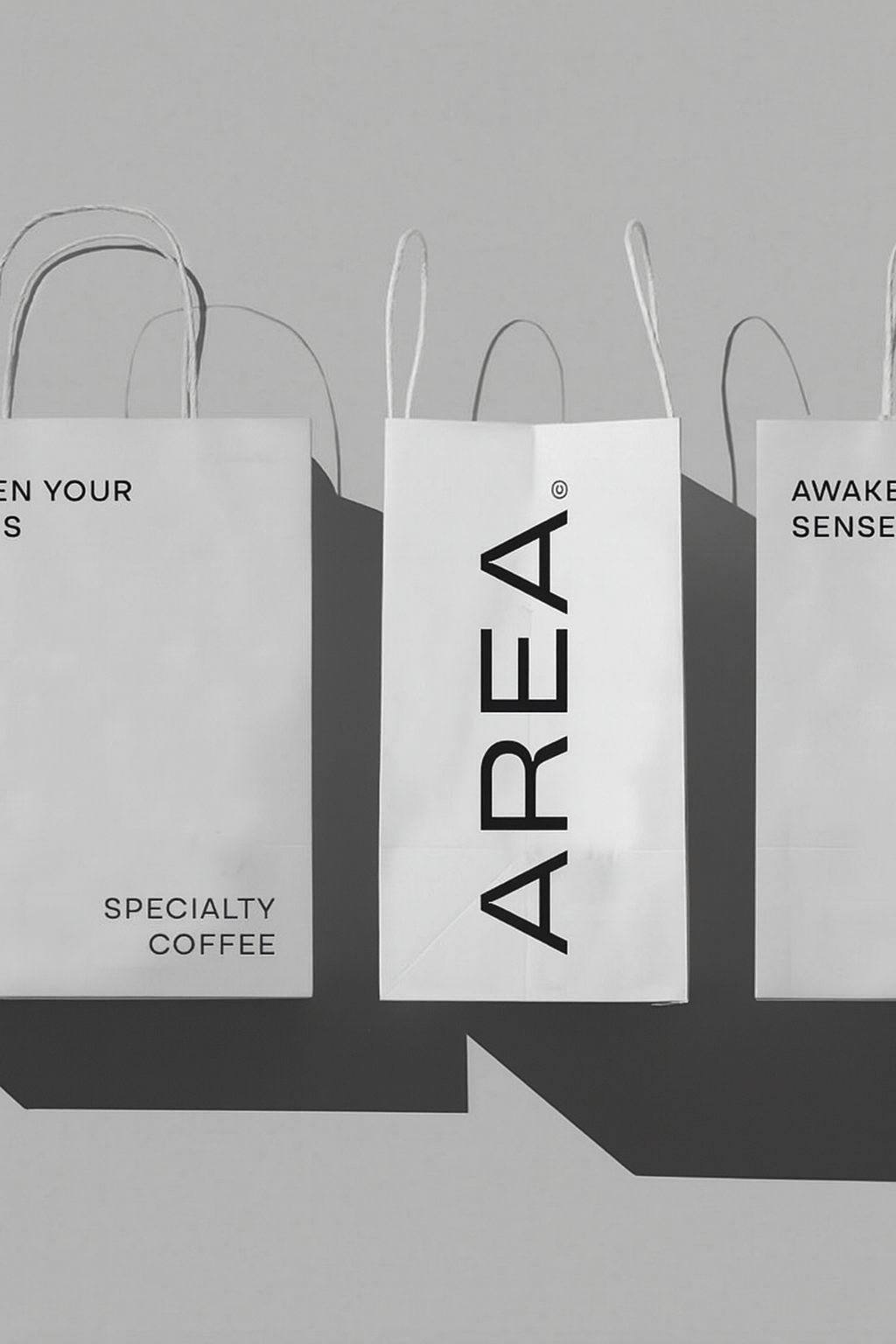 Custom Kraft Gift Packaging Paper Bags