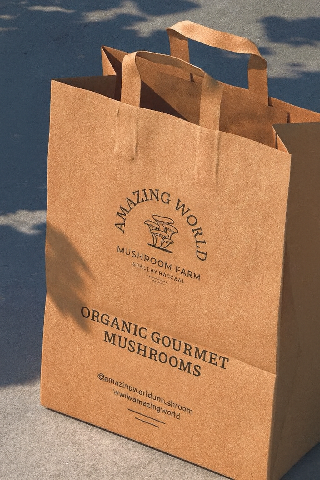 Custom Kraft Gift Packaging Paper Bags